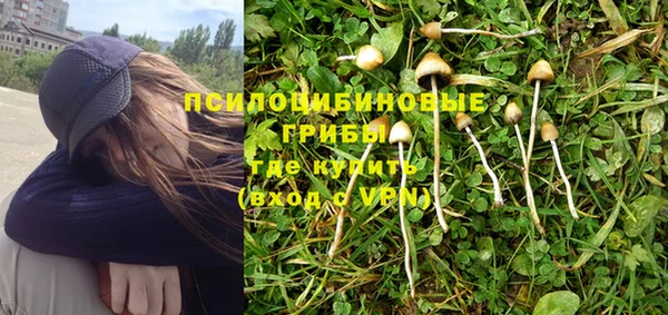 мдпв Арсеньев