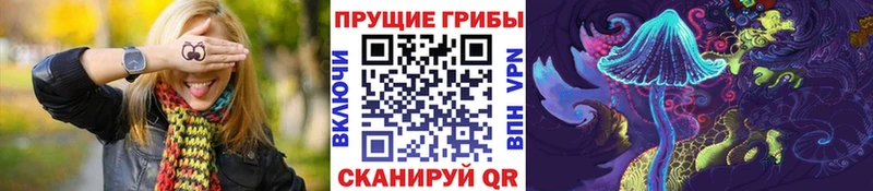 Псилоцибиновые грибы мицелий  Балахна 